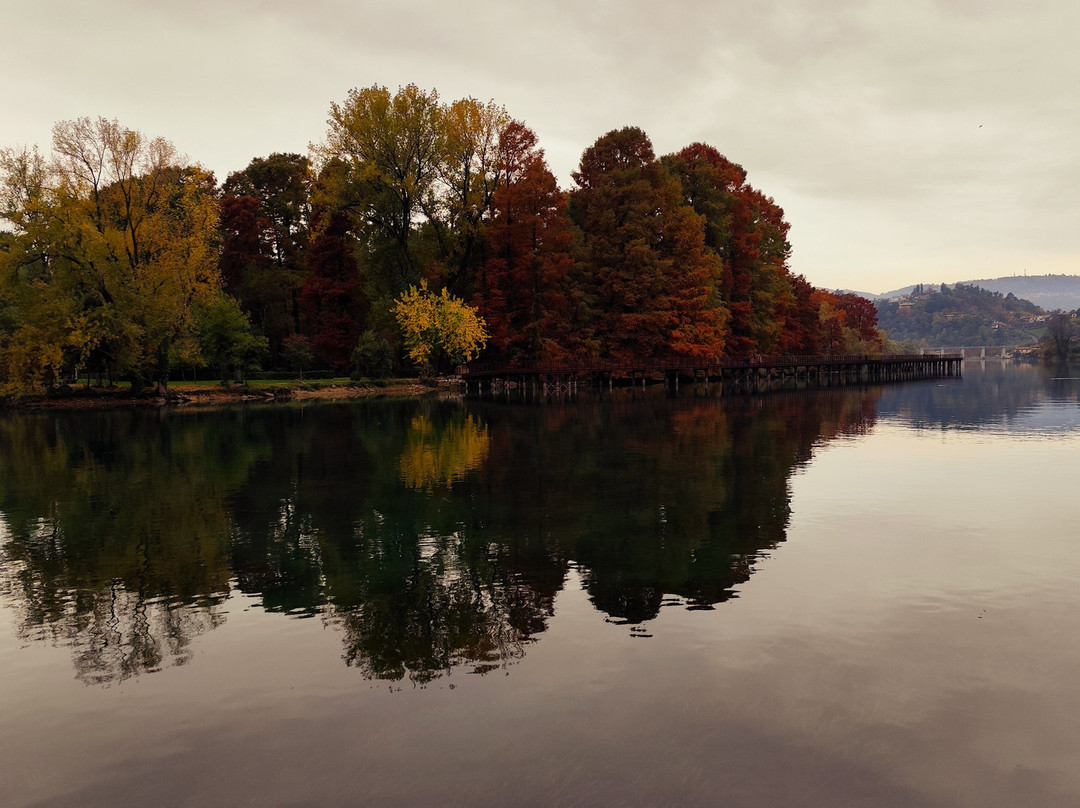 Parco dei TAXODI-Paratico必去景点