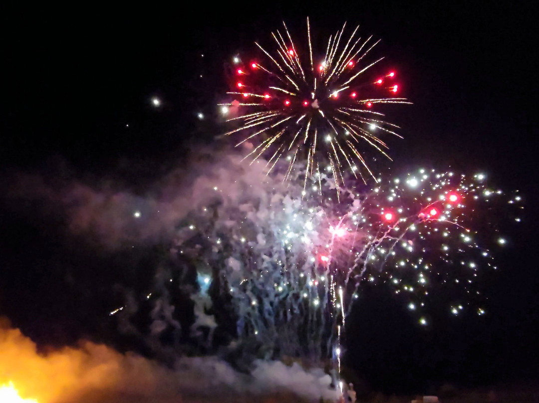 Apley Farm Shop-Norton必去景点