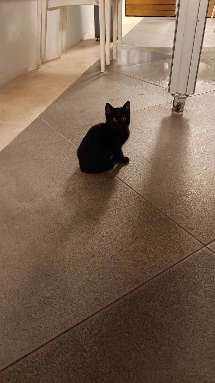 贝勒由维拉戈蒙特酒店-官方