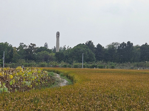 广富林文化遗址-上海市必去景点