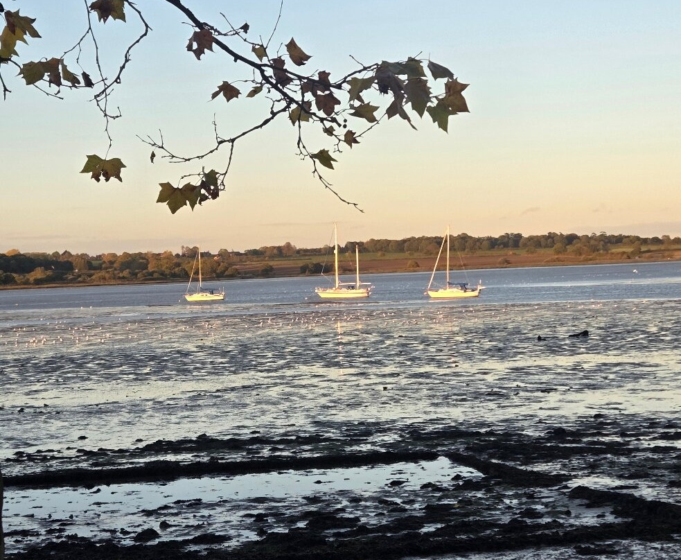 The Mistley Thorn主图