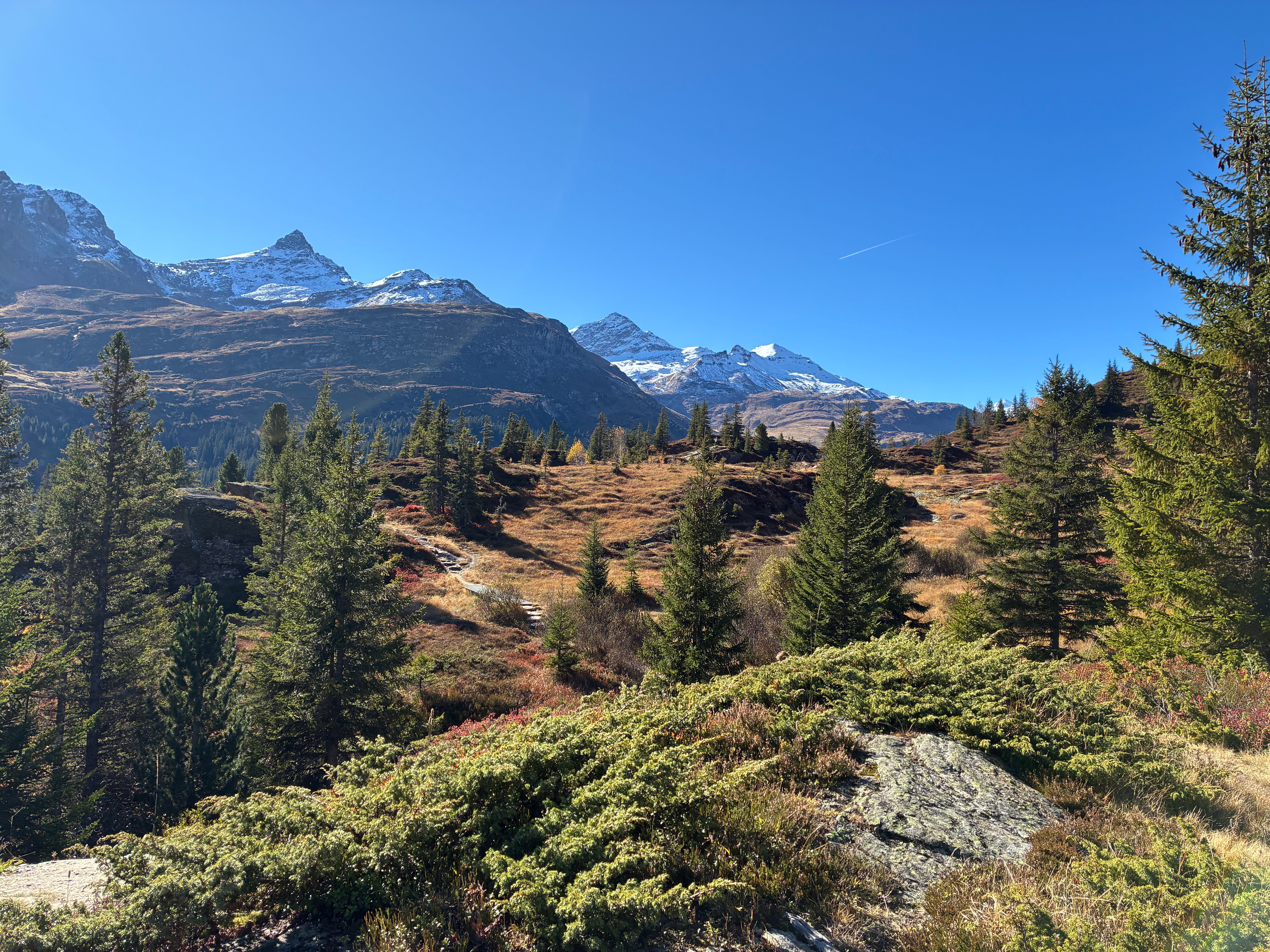 Family hotel Clarezia-官方
