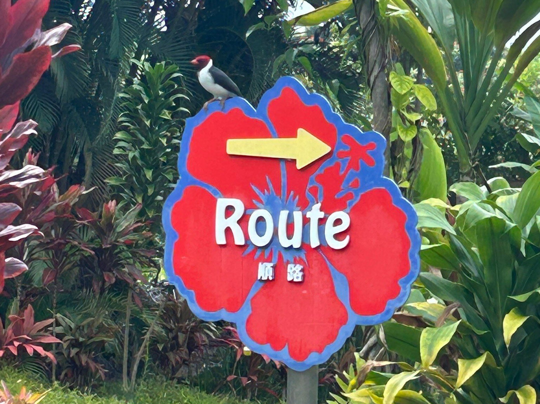 马乌卡农场-哈陆亚洛亚必去景点