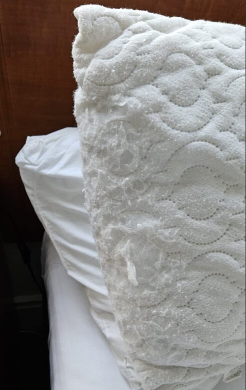 斯科尔维斯大桥酒店-客卧