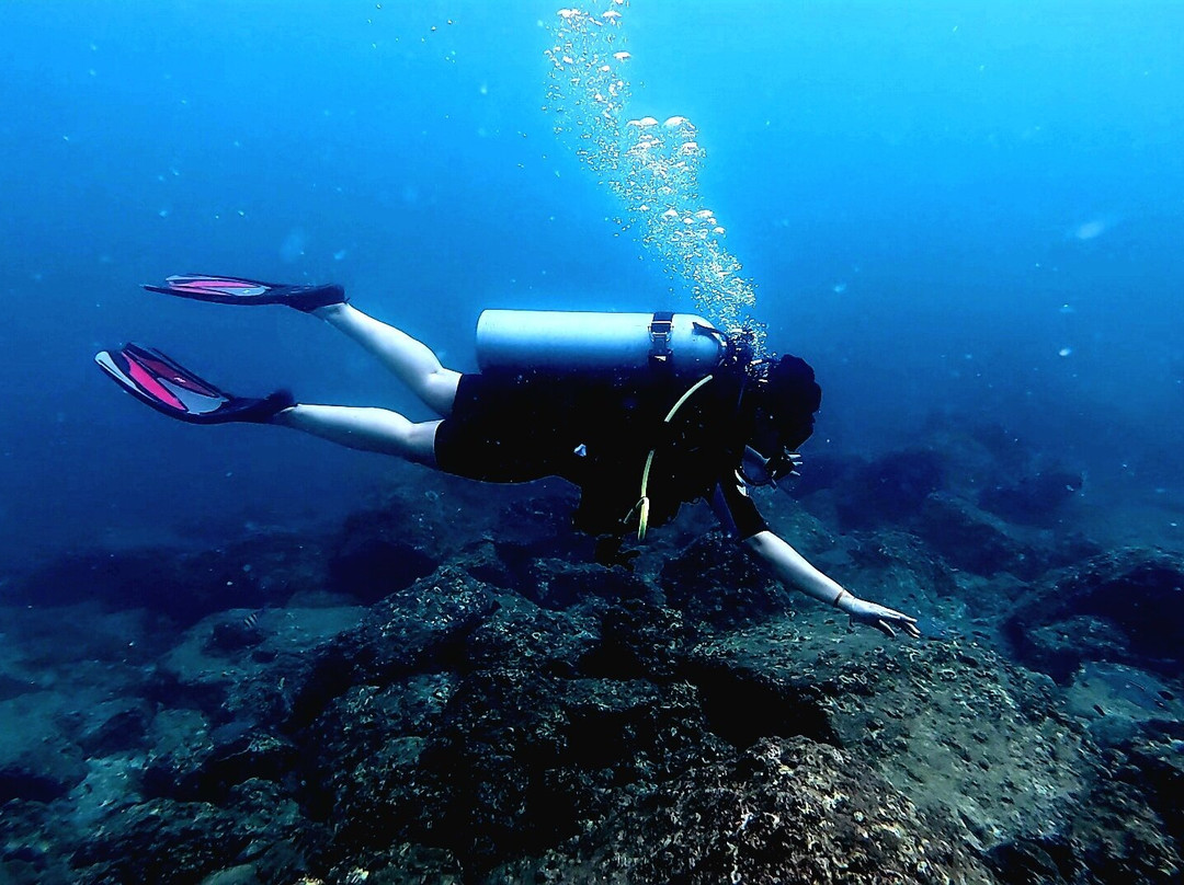 Nemo Diving Center - Fujairah-Dibba Al Fujairah必去景点