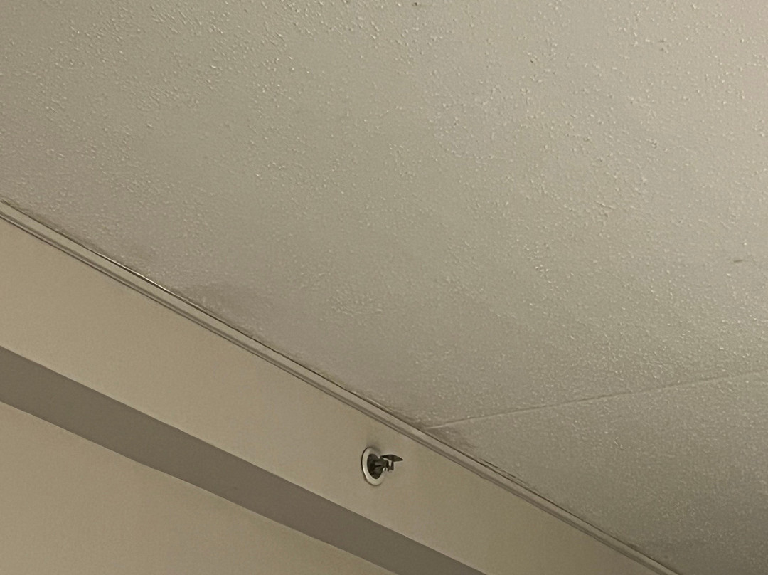 Holiday Inn Express & Suites Allentown Cen - Dorneyville By IHG主图