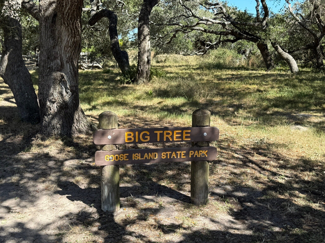 Goose Island State Park-罗克波特必去景点