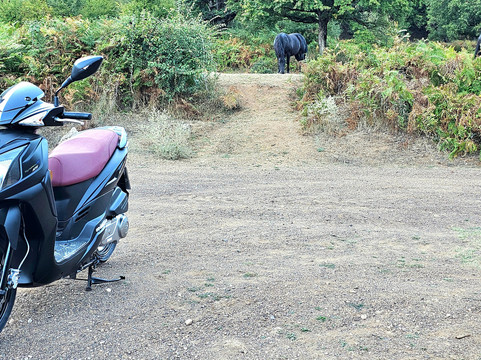 Meteora Bike Brothers