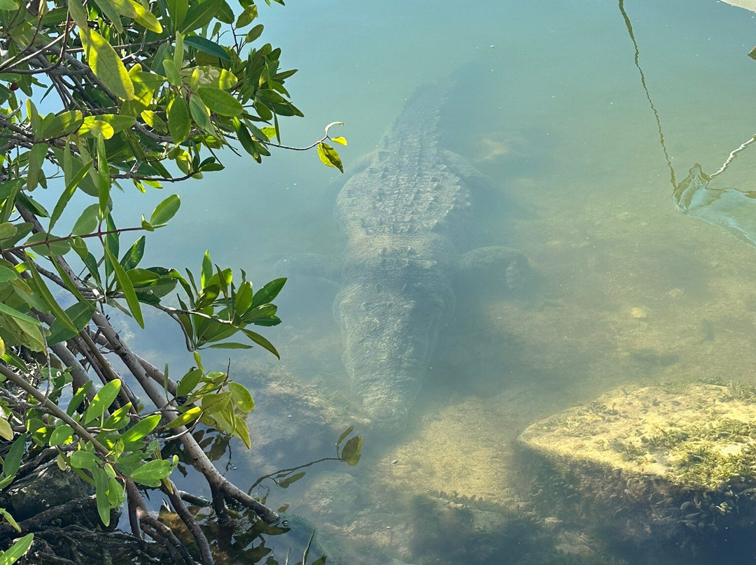 Blue Caribe-艾库玛尔必去景点