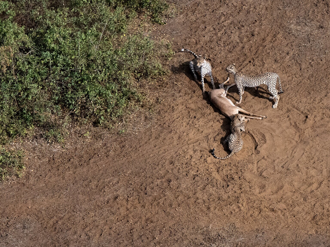 Wild Eye-弗维斯必去景点