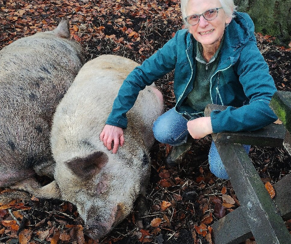 Pigs In The Wood-Huddersfield必去景点