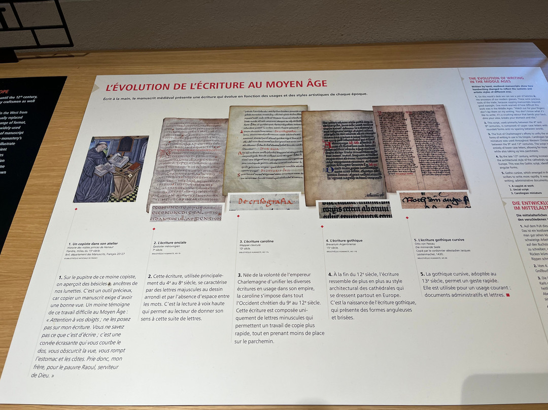 Bibliothèque Humaniste-塞勒斯塔必去景点