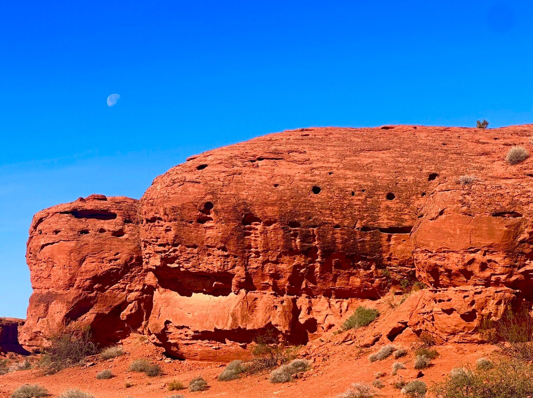 Red Hills Desert Garden-圣乔治必去景点