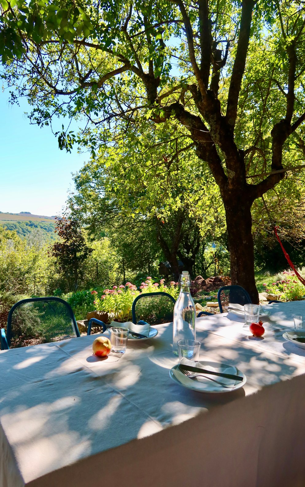 Fattoria Ma' Falda-官方