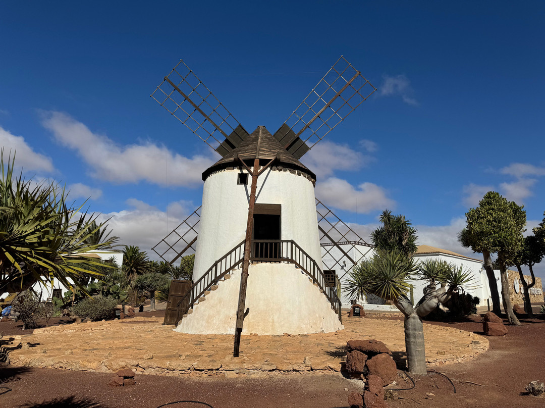 Museo del Queso Majorero-Antigua必去景点