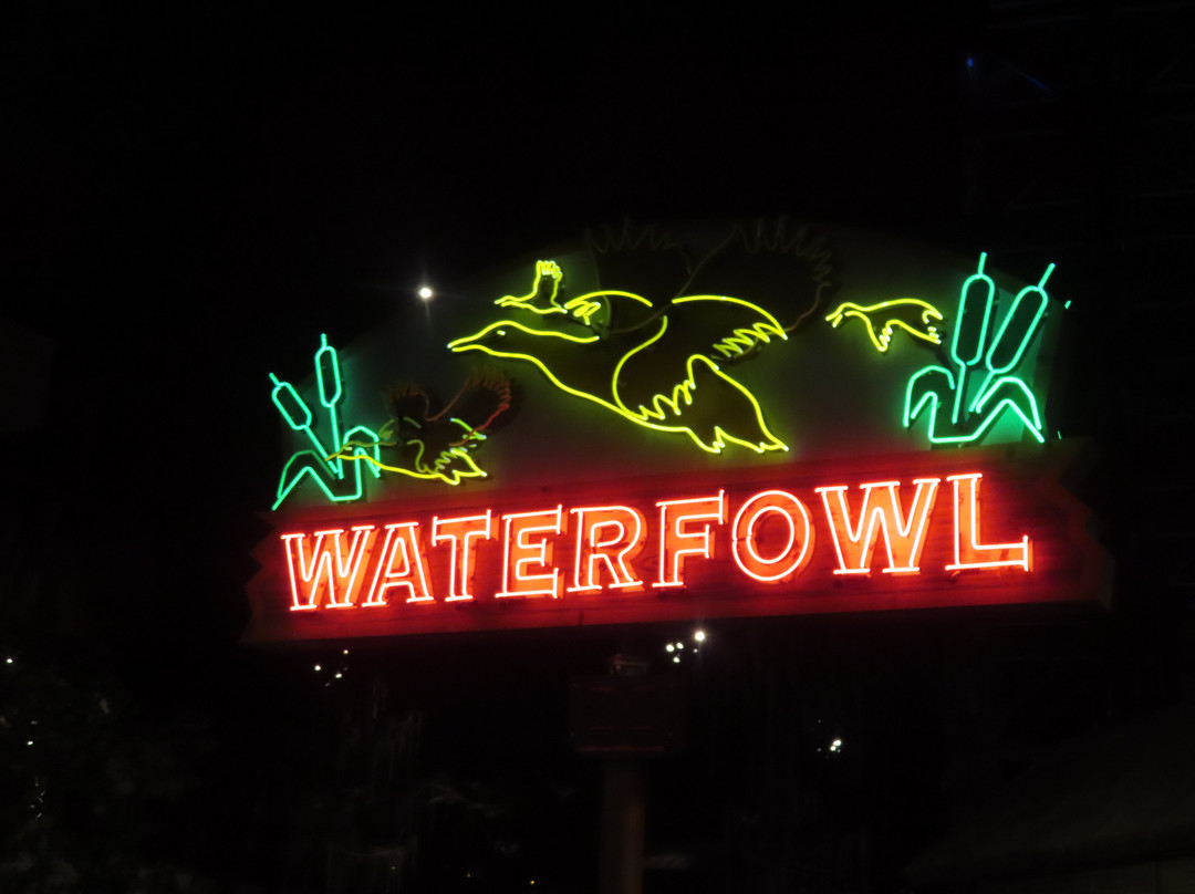 Bass Pro Shops at the Pyramid-孟菲斯必去景点