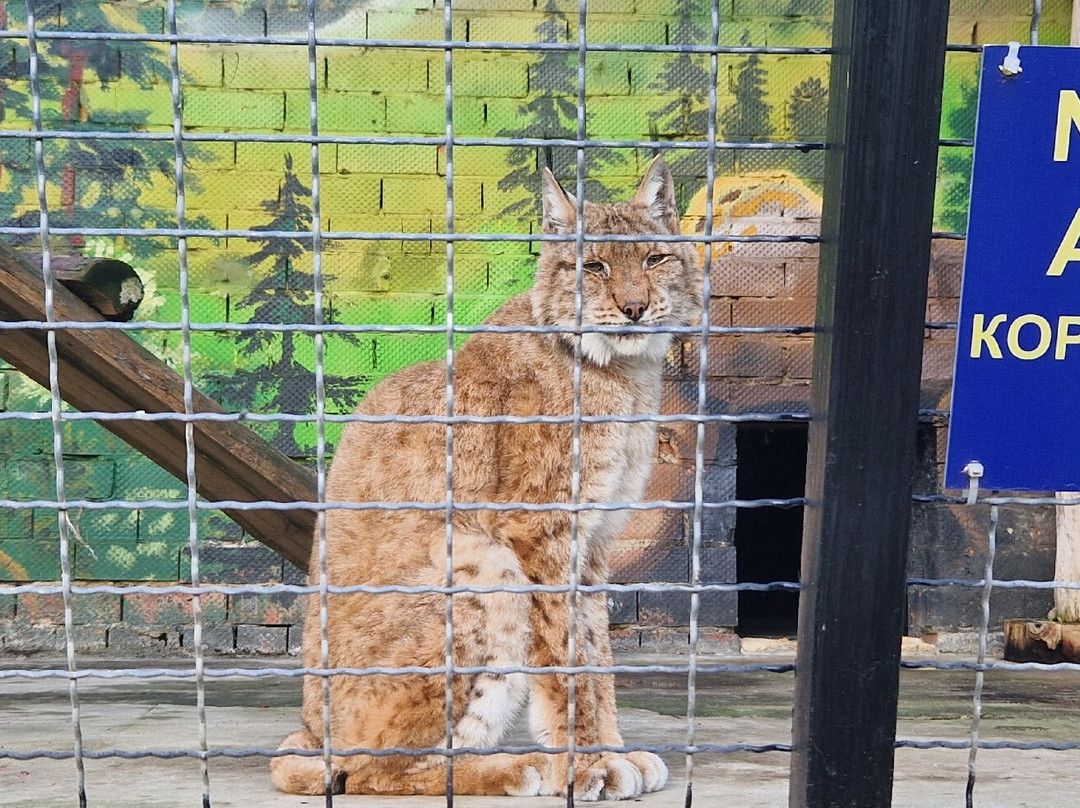 Chisinau Zoo-基希讷乌必去景点