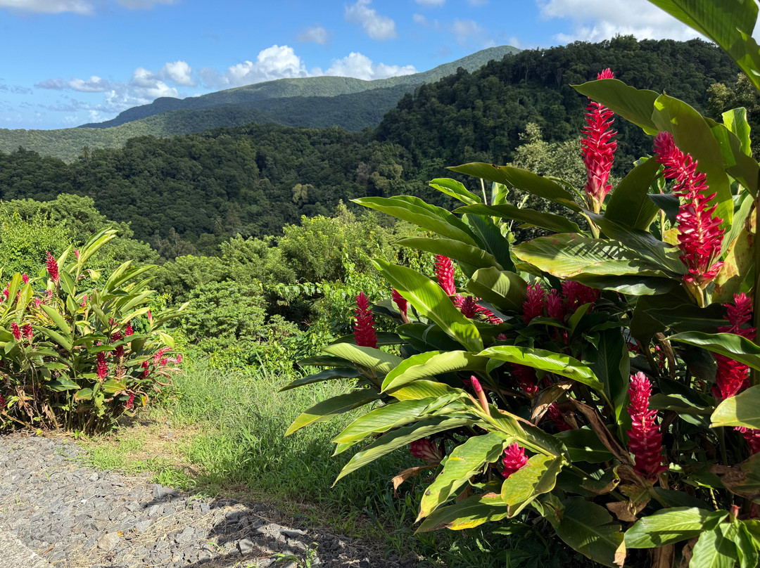 Parc De La Source-Bouillante必去景点