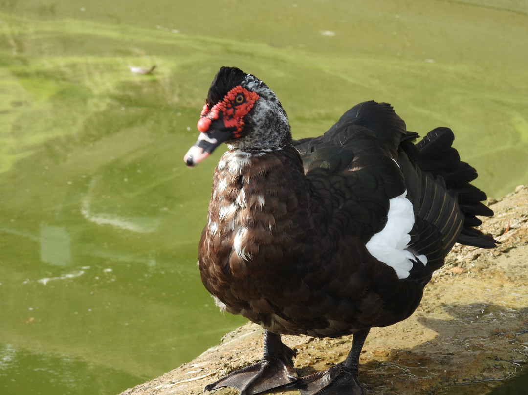 Greece Bird Tours-Marathon必去景点