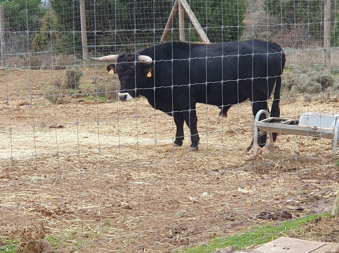 Parque de Fauna La Maleza-Tramacastilla必去景点