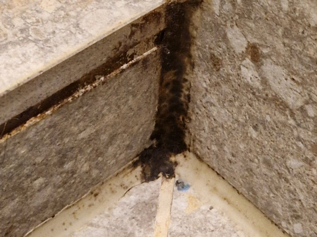 Van der Valk Hotel Cuijk - Nijmegen主图