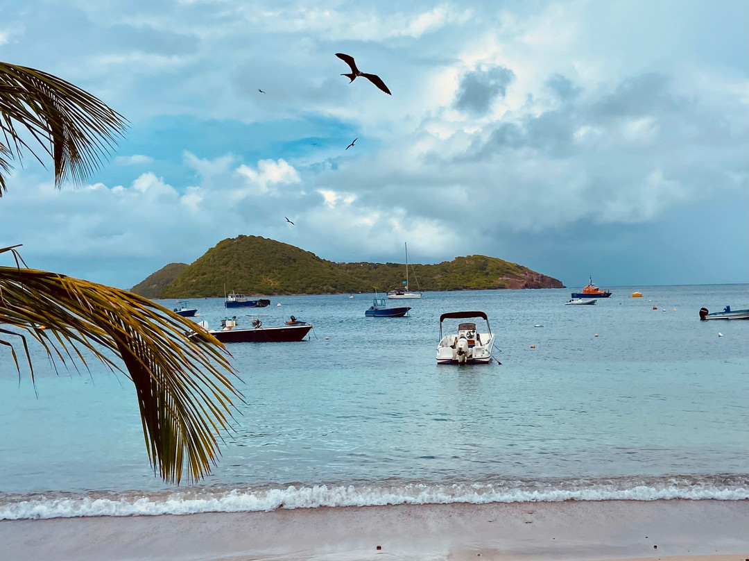 Lô Bleu Hôtel主图