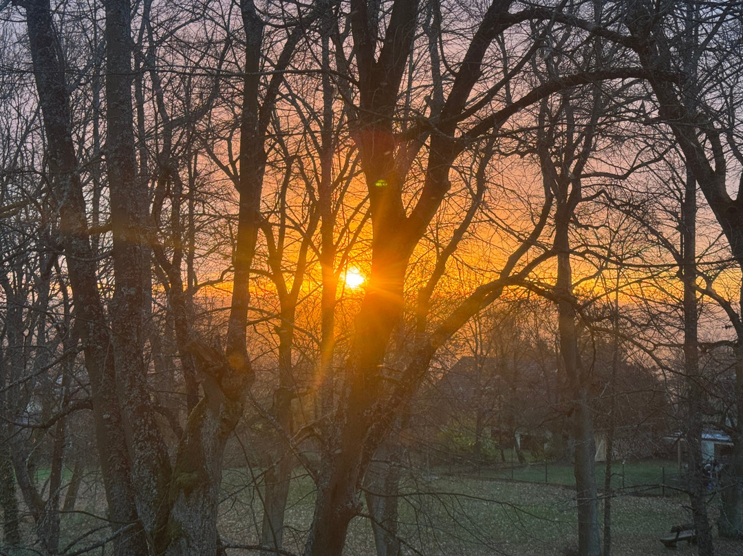 施莱翰帕克酒店主图