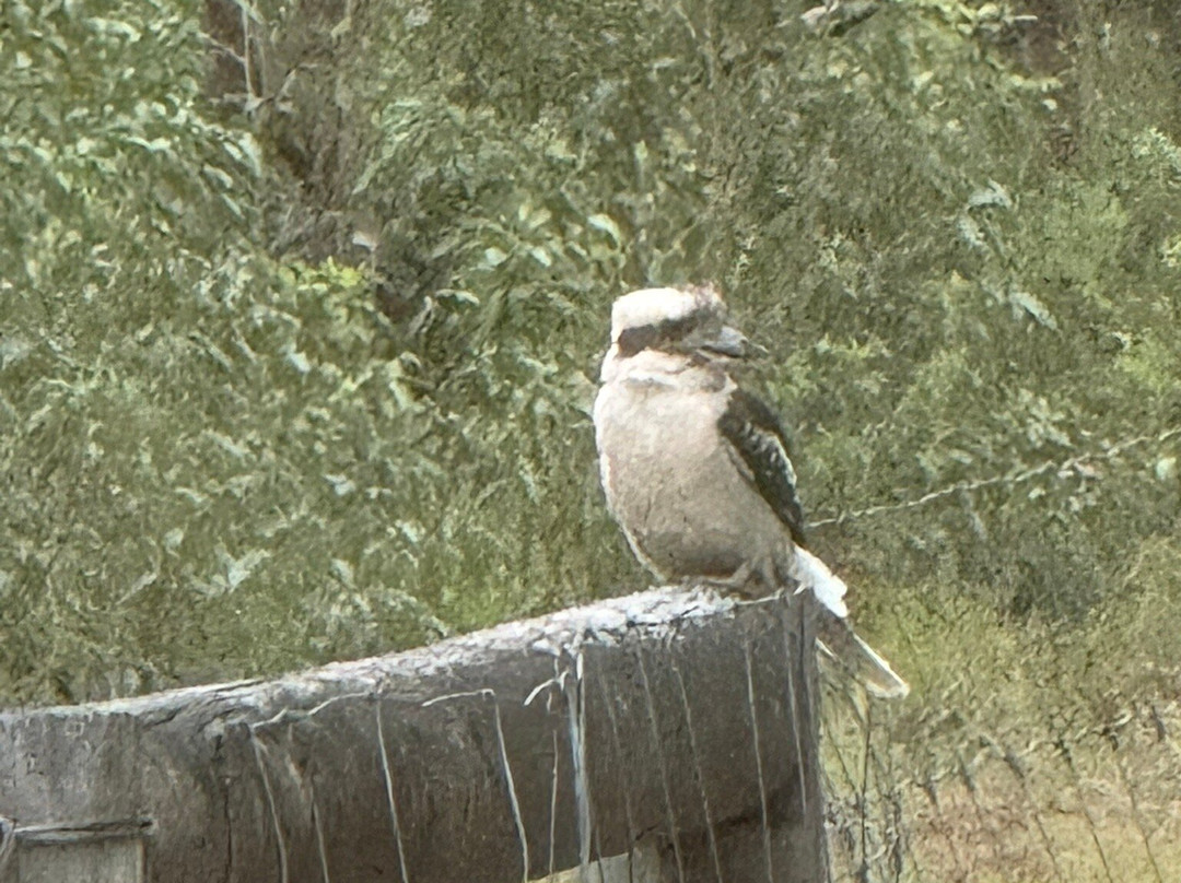 Fraser Experience Tours-赫维湾必去景点