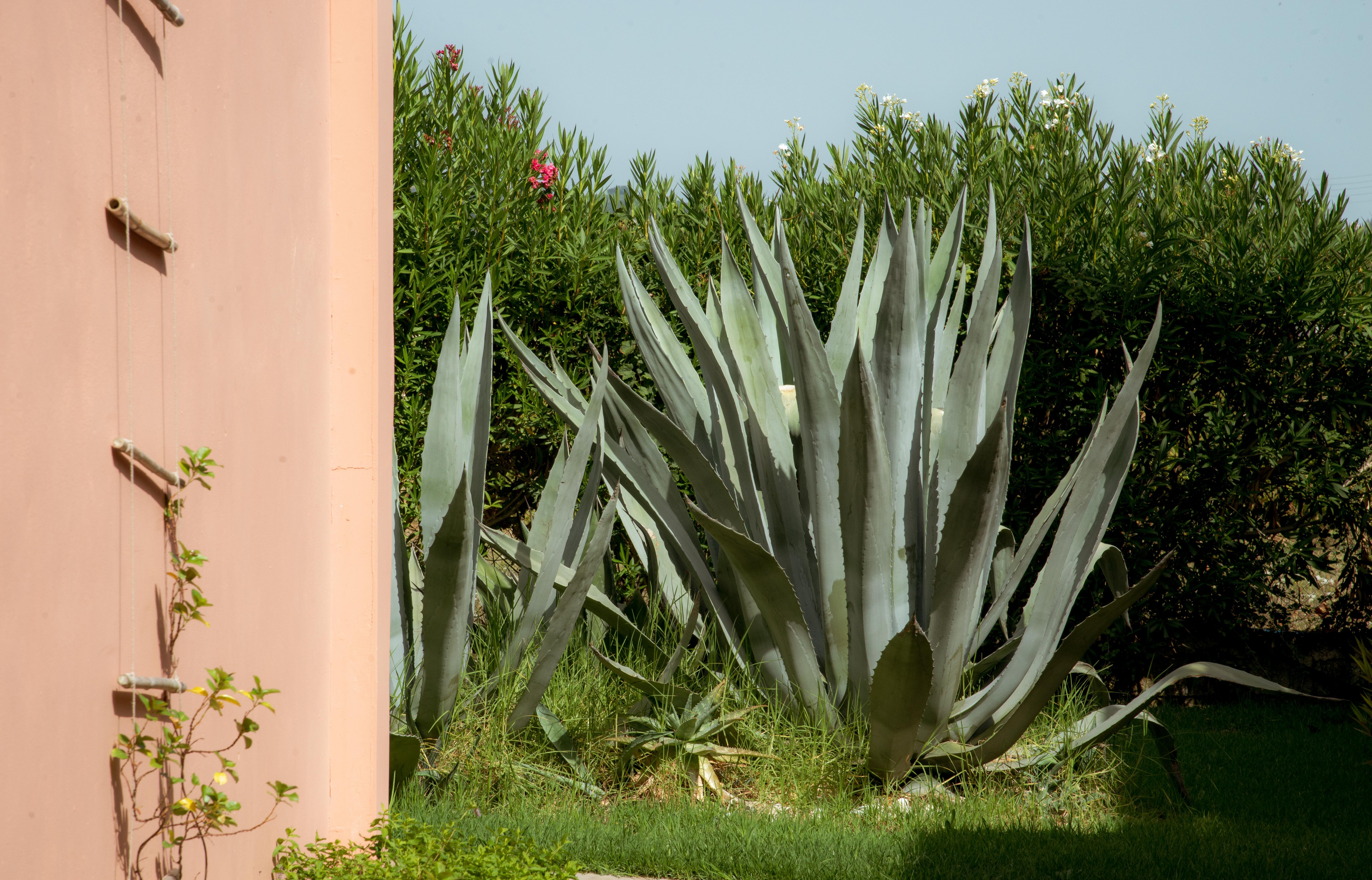 艾克勒索特泽菲罗斯宾馆-官方