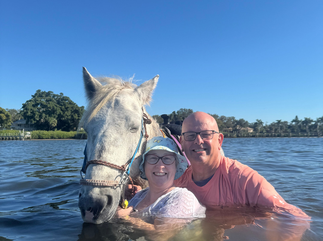 Florida Beach Horses-布雷登顿必去景点
