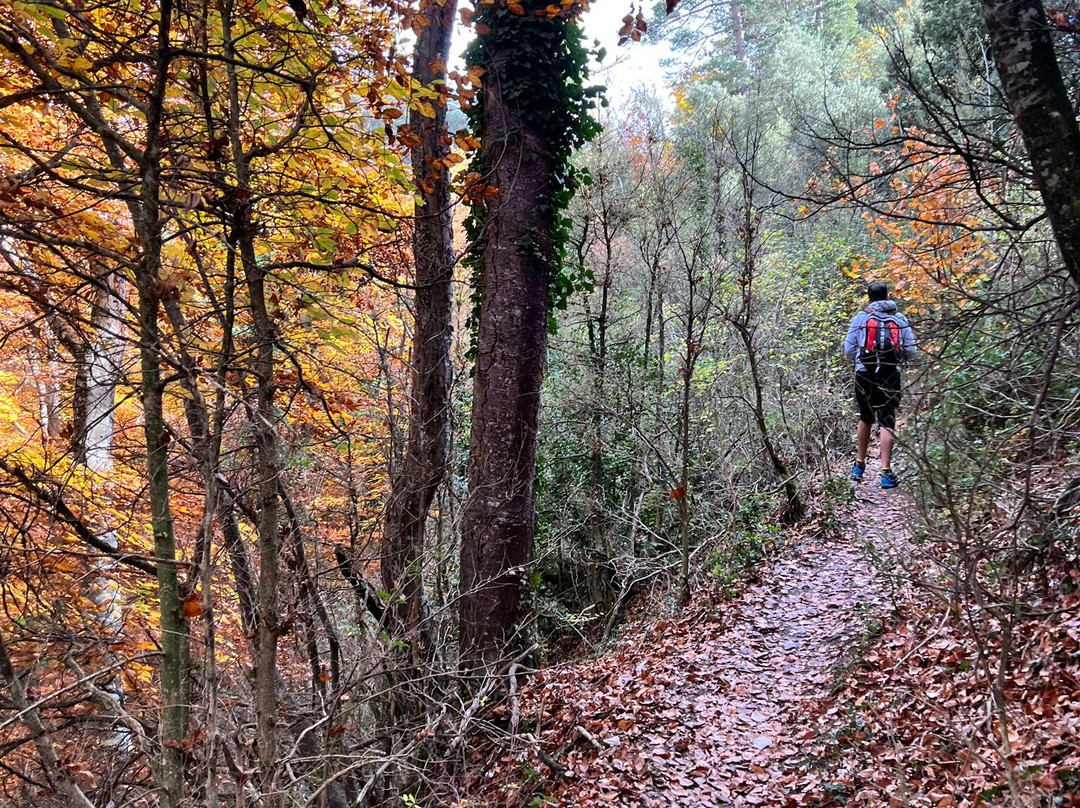Bufadors de Bevi-Santa Maria de Besora必去景点