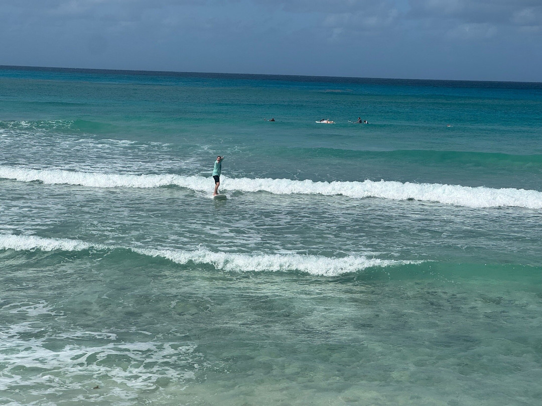 Boosy's Surf School-基督城必去景点