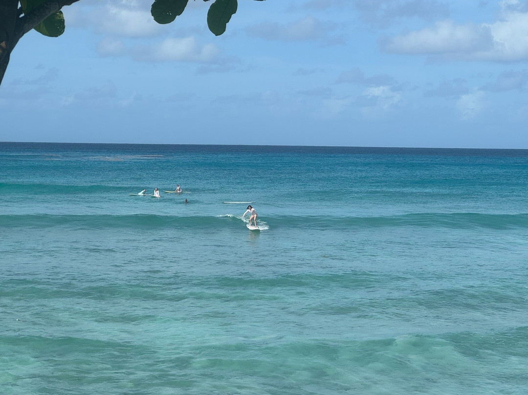 Boosy's Surf School-基督城必去景点