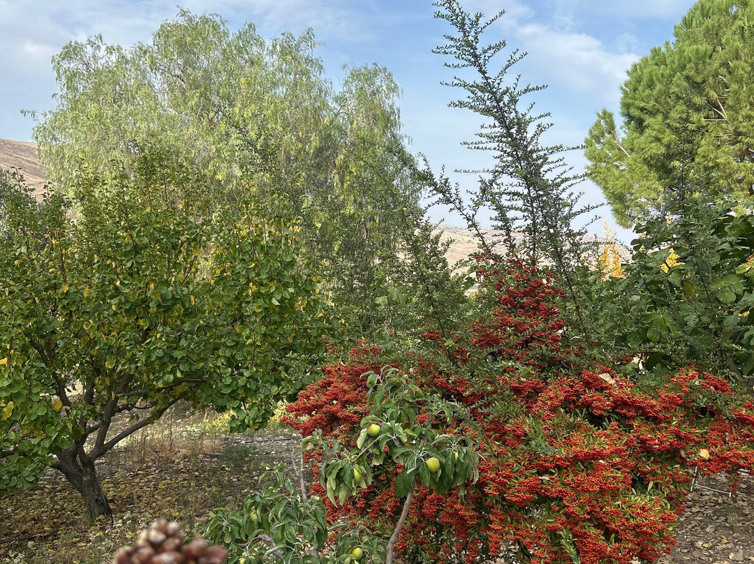 Argonaftis Tours - Kelokedara Donkey Farm-帕福斯必去景点