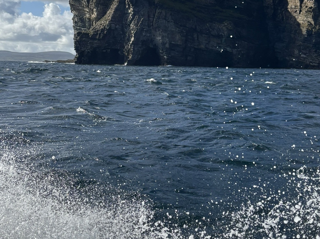 Shetland Seabird Tours - The Noss Boat-Lerwick必去景点