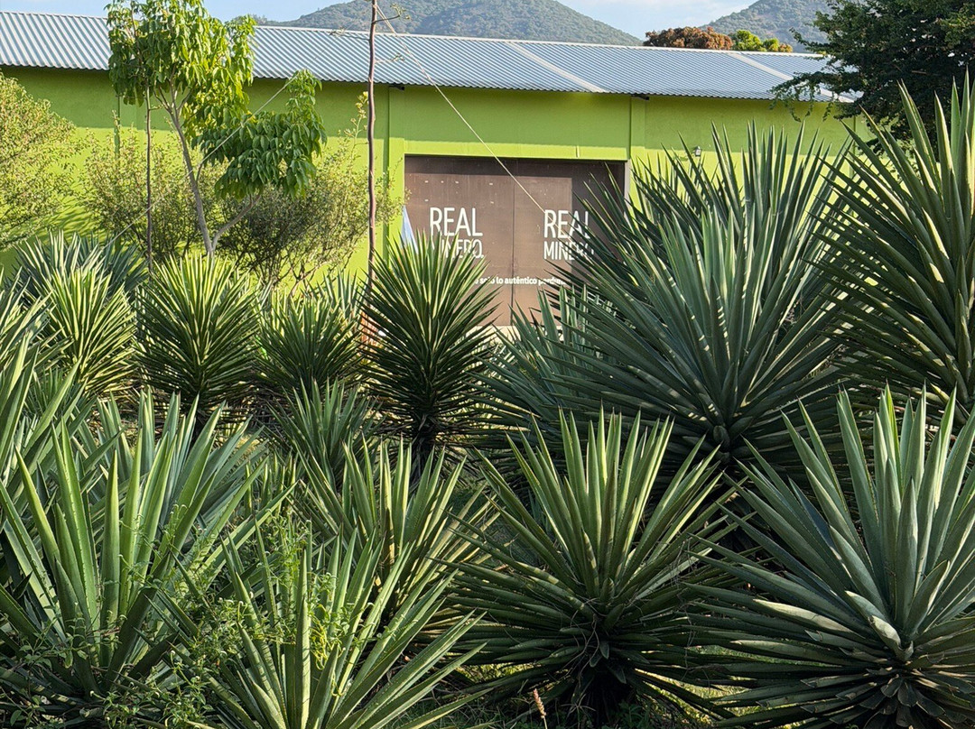 Mezcal Real Minero-瓦哈卡必去景点