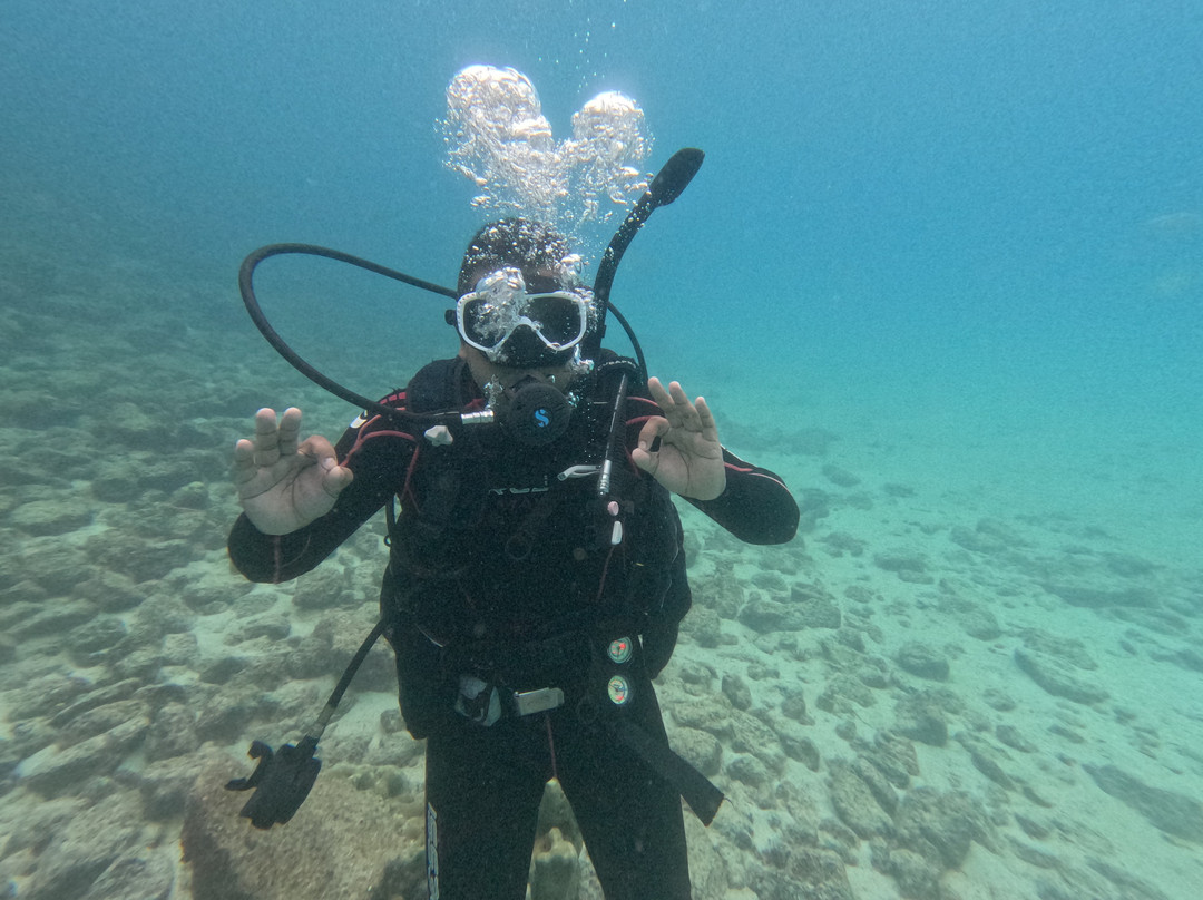 Cruise In Galapagos-阿约拉港必去景点