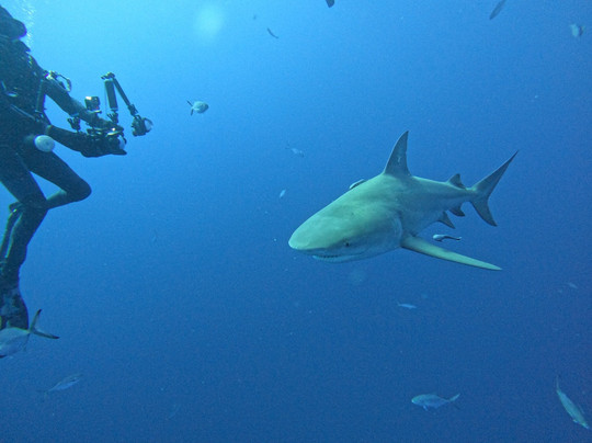 Emerald Charters-朱庇特必去景点