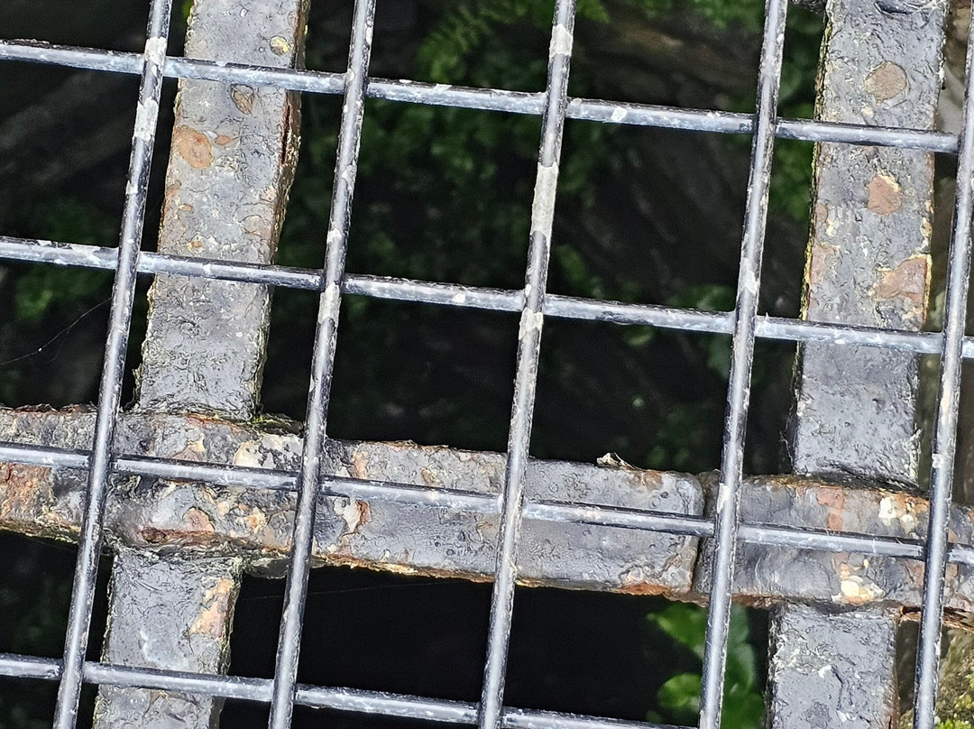 Holy Island Hikes-Holy Island必去景点