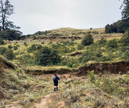 The Jungle Book Safari & Tours,  Chitwan National Park-苏拉哈必去景点