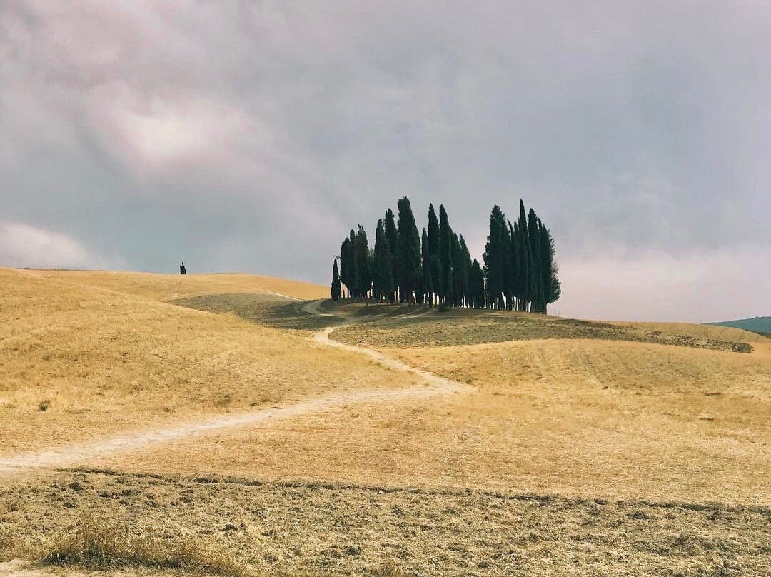 Cipressi di San Quirico d'Orcia-圣奎里科多尔恰必去景点