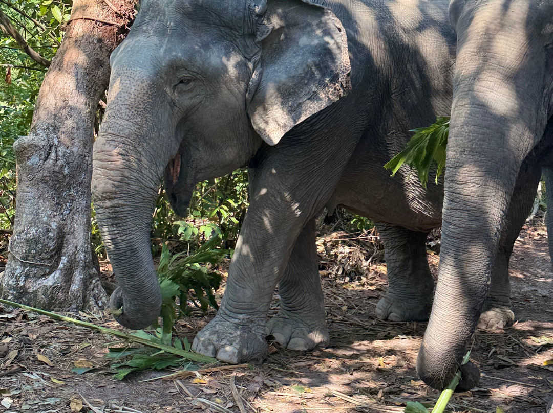 Koh Yao Elephant Beach-阁耀亚伊岛必去景点