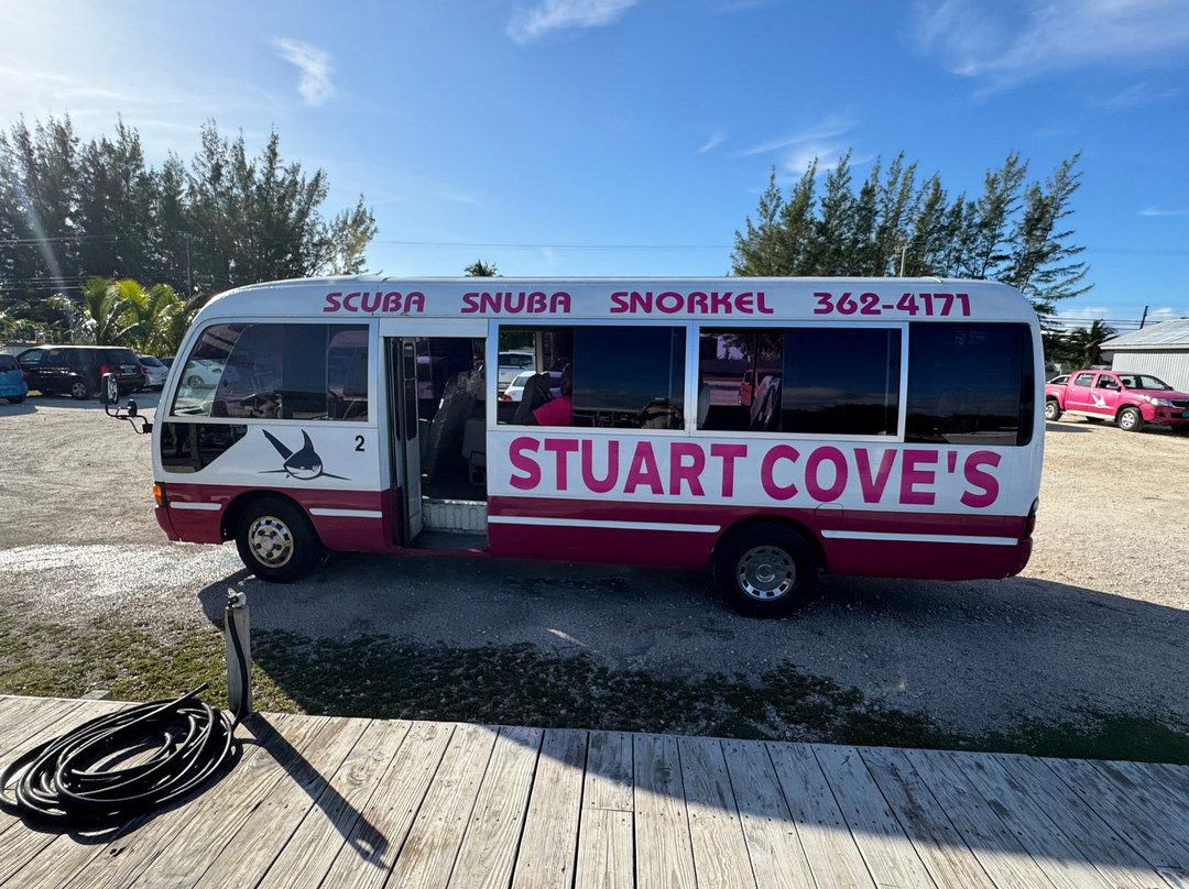 Stuart Cove's-拿骚必去景点