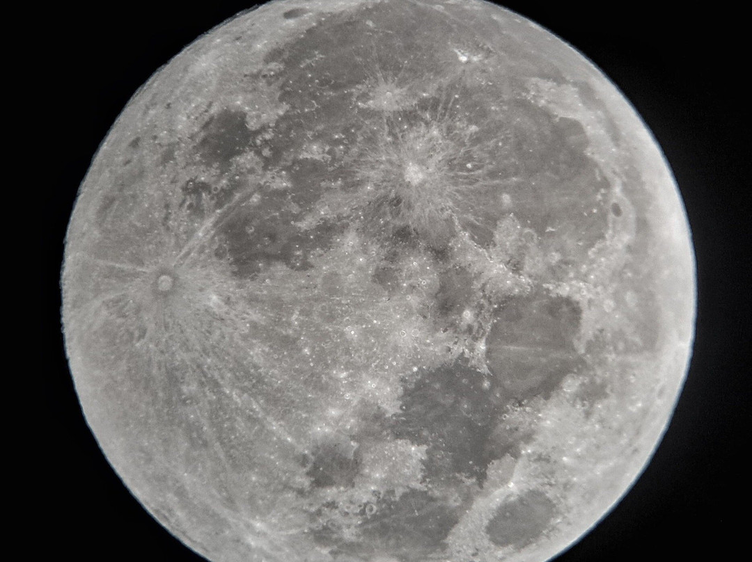 Elki Magic-Vicuna必去景点