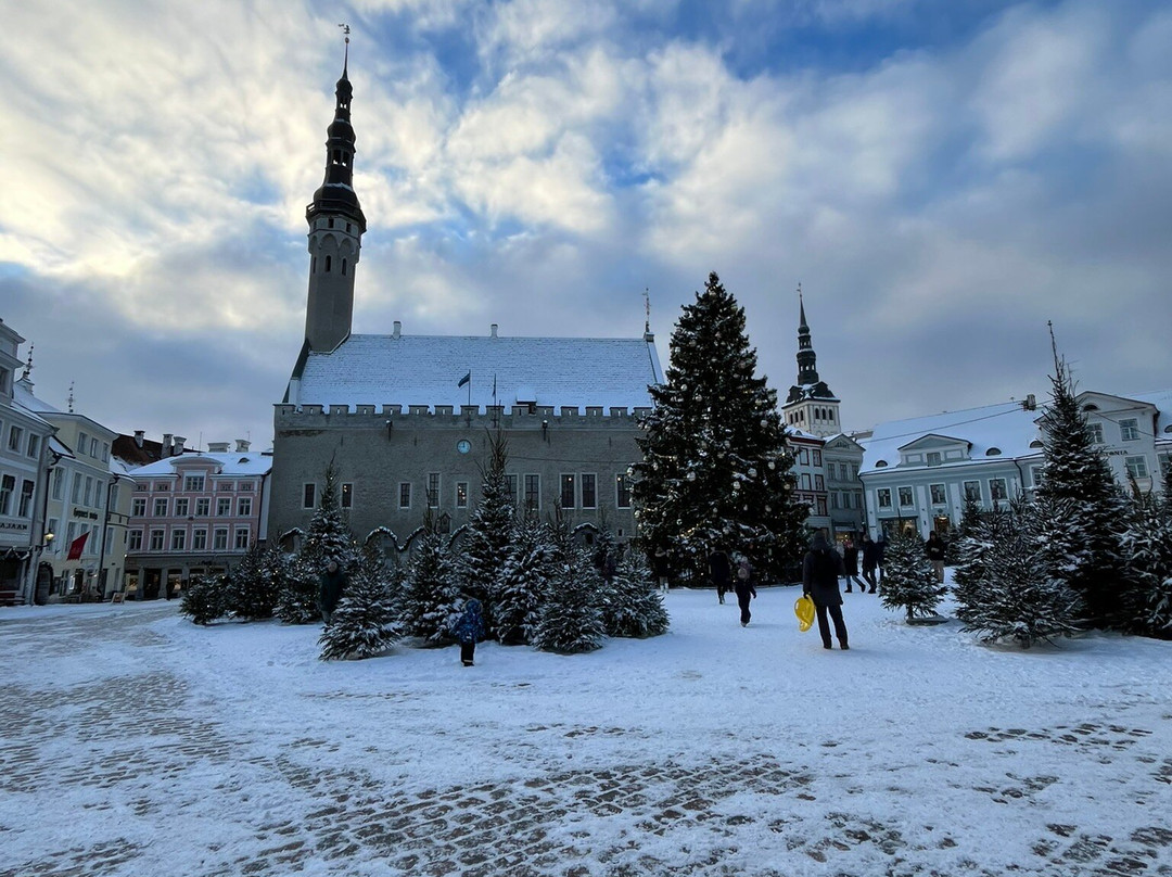 市政厅广场-塔林必去景点