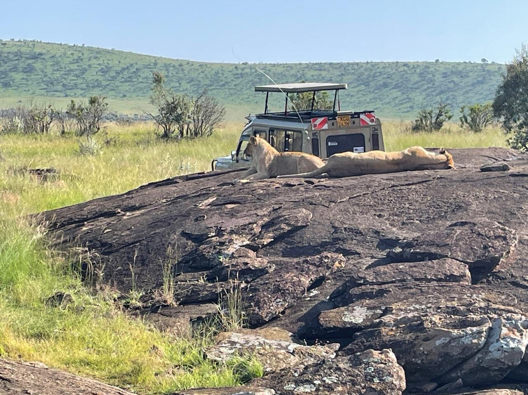 African Horizons-内罗毕必去景点