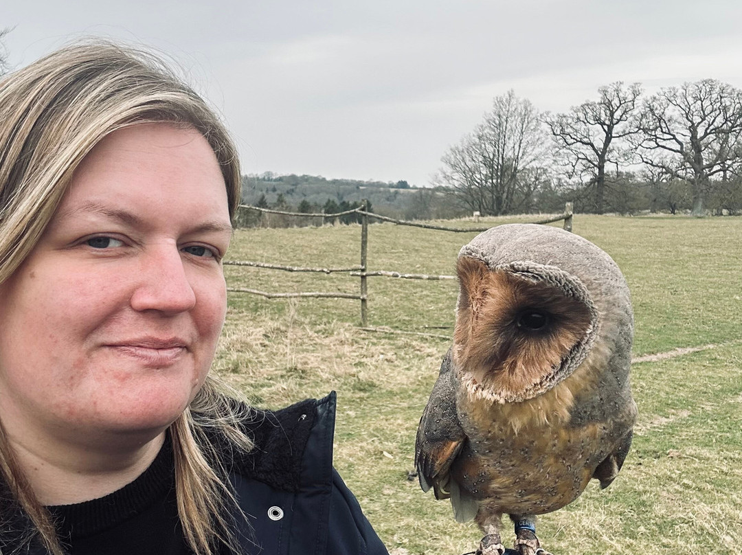 Joe's Bows-Faversham必去景点