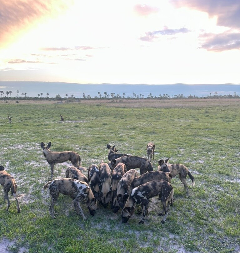 Embrace Safaris-马翁必去景点