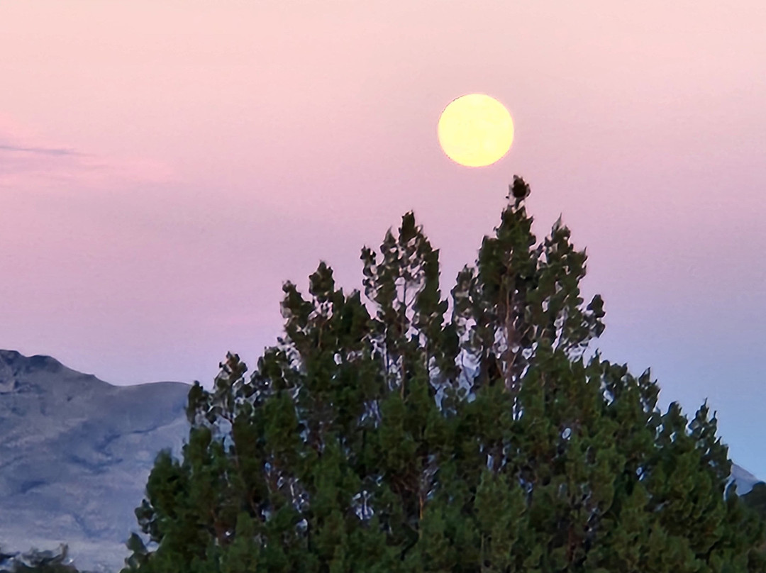 Double R Ranch-Elgin必去景点