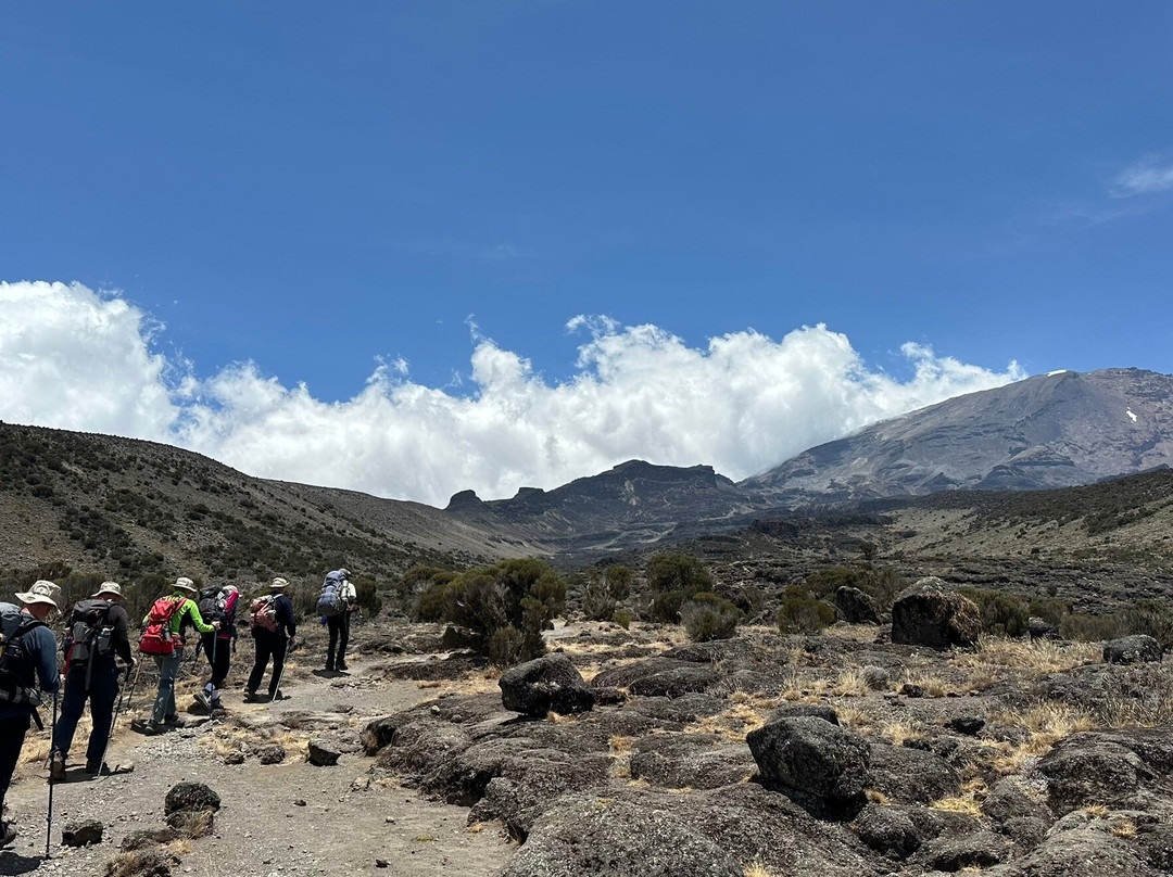 Dotcom Safaris Ltd-莫西必去景点